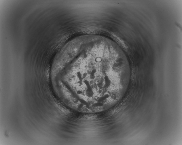 X0000097810065200804041345