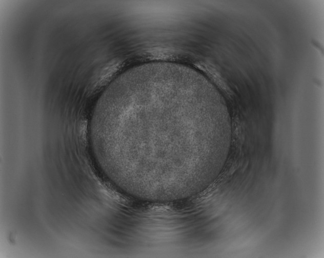 X0000097810066200804041345