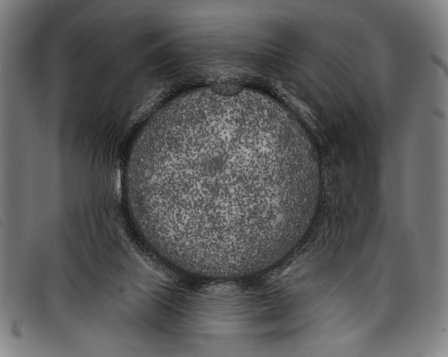 X0000097810067200804041346