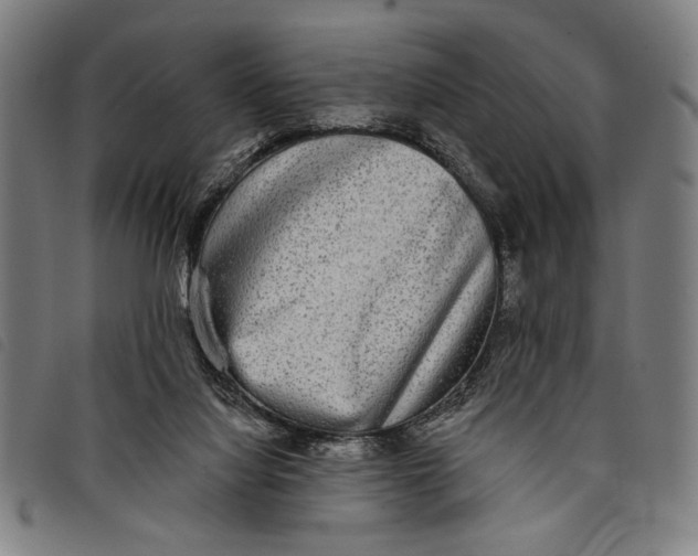 X0000097810068200804041346