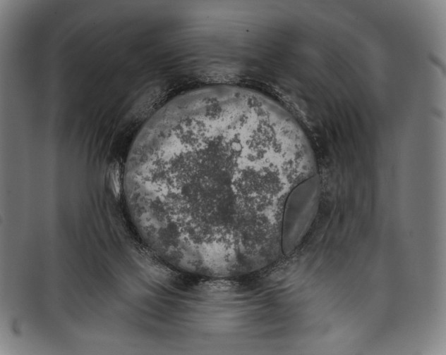 X0000097810069200804041346