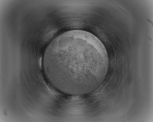 X0000097810070200804041346