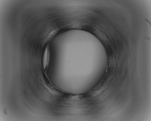 X0000097810072200804041346