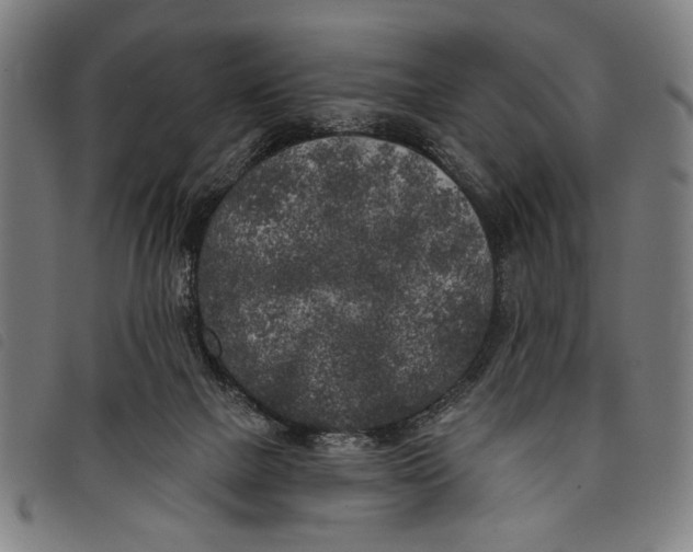 X0000097810073200804041346