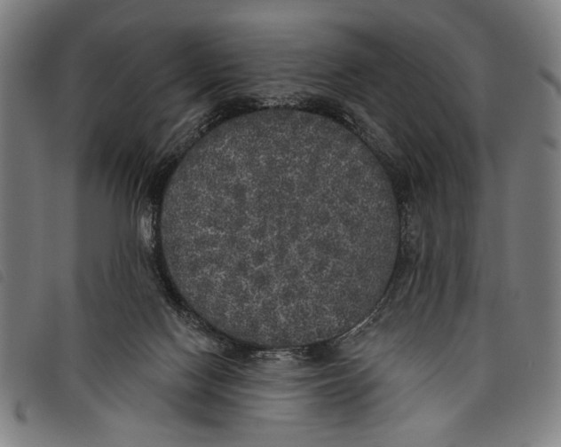 X0000097810074200804041346