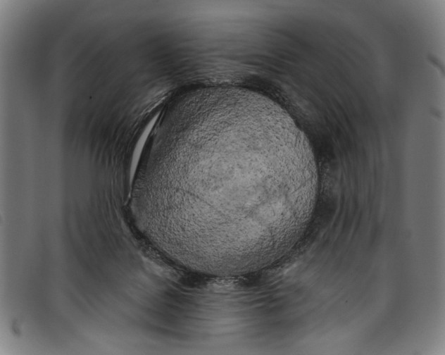 X0000097810076200804041346