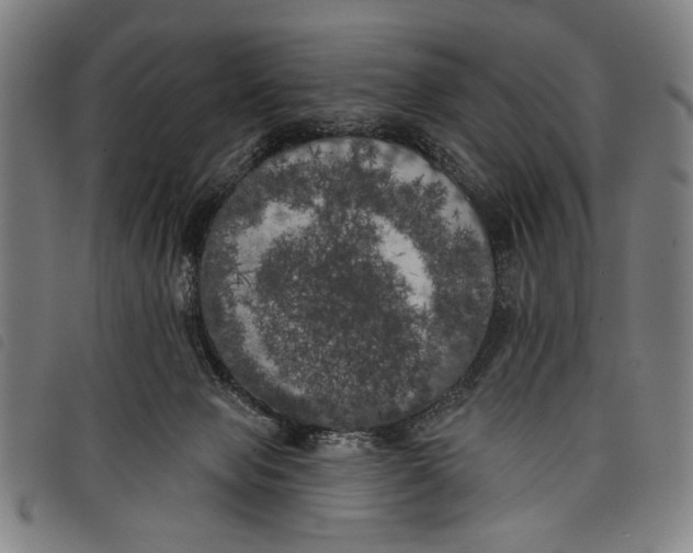 X0000097810077200804041346