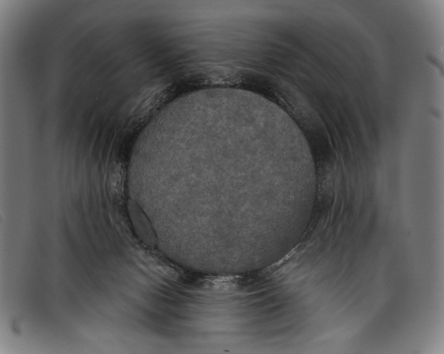 X0000097810078200804041346