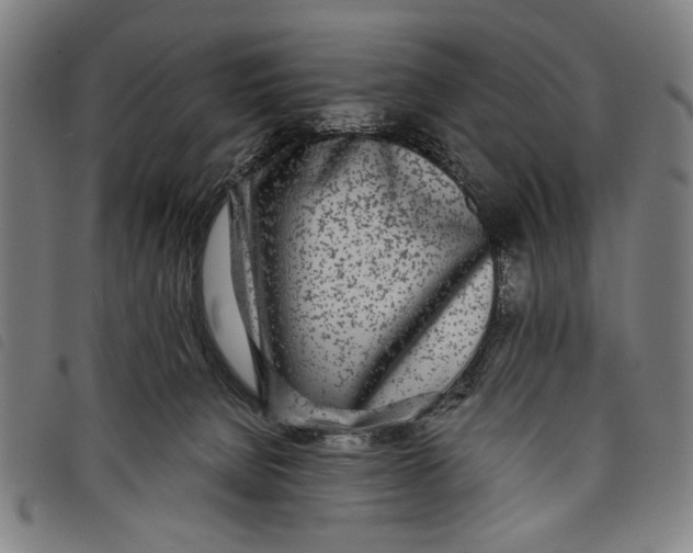 X0000097810080200804041346