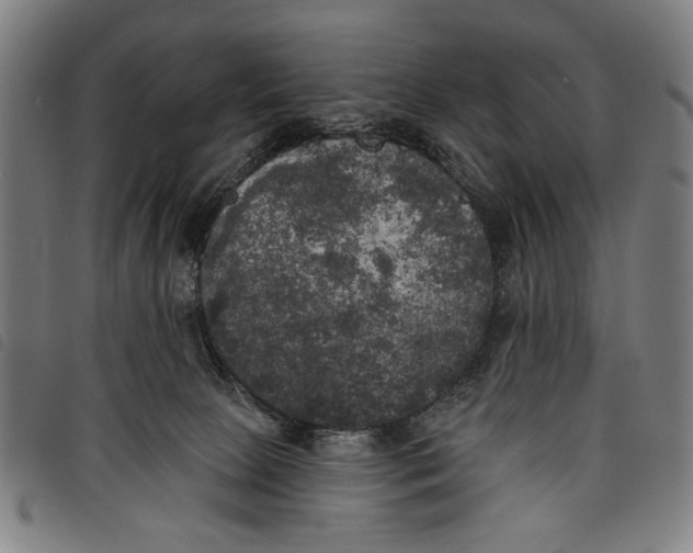 X0000097810081200804041346