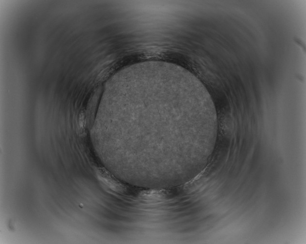 X0000097810082200804041346