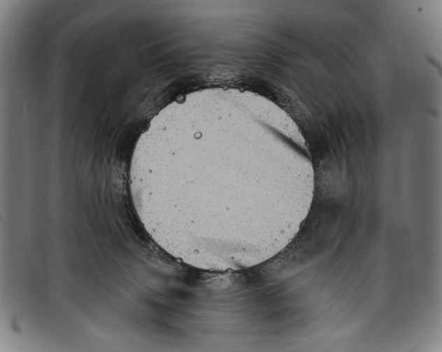 X0000097810083200804041346