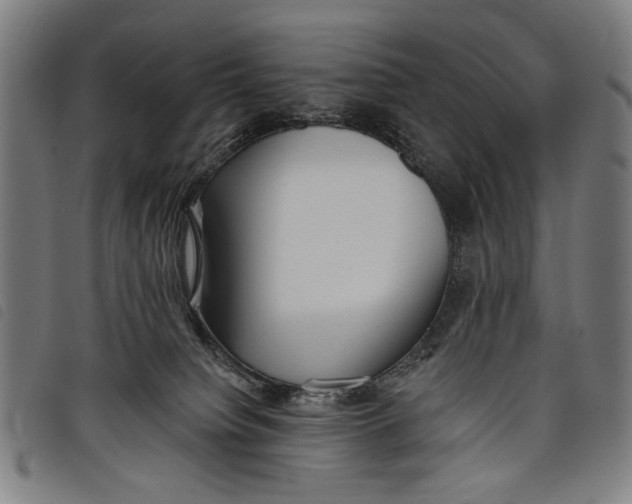 X0000097810084200804041346