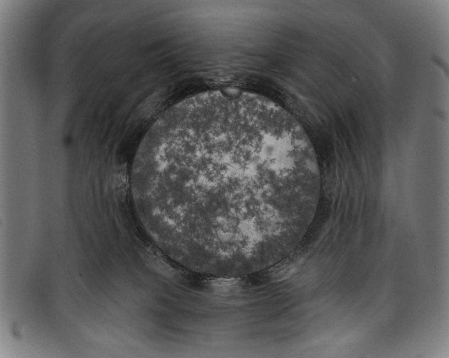 X0000097810085200804041346