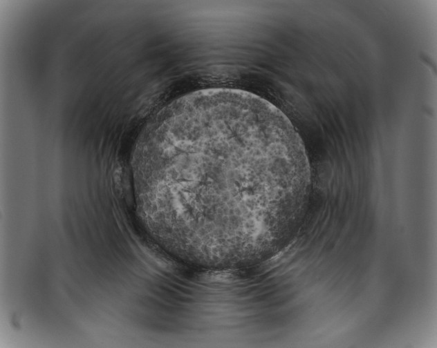 X0000097810086200804041346