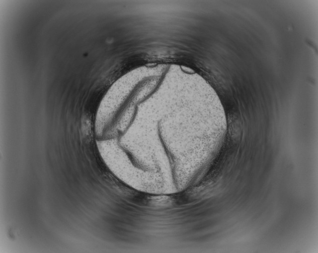 X0000097810087200804041346