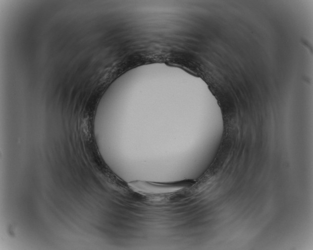 X0000097810088200804041346