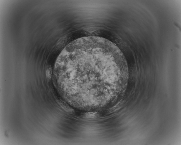 X0000097810090200804041346