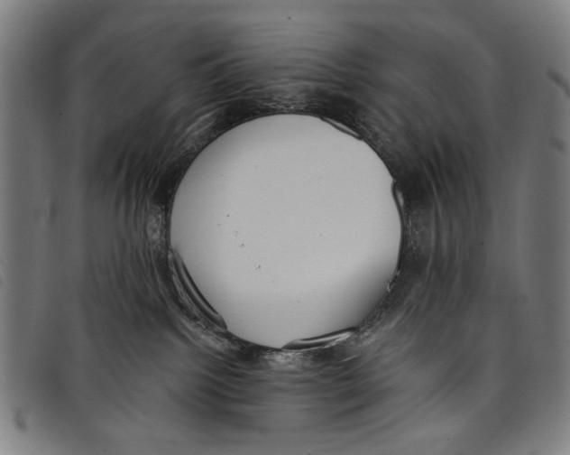 X0000097810092200804041346