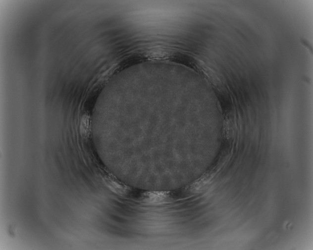 X0000097810093200804041346