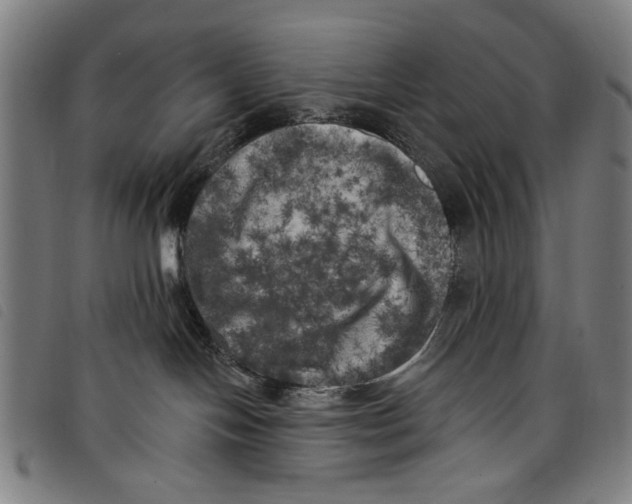 X0000097810094200804041346