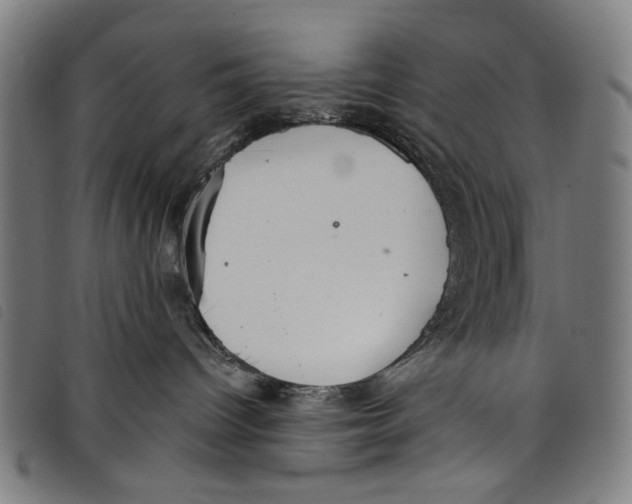 X0000097810096200804041346