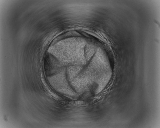 X0000097810097200804041345