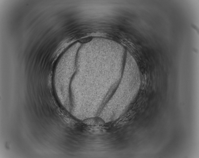 X0000097810098200804041345