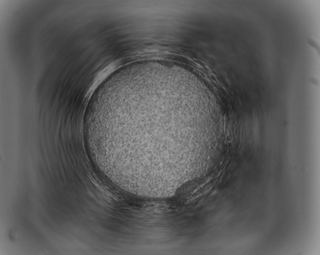 X0000097810099200804041345