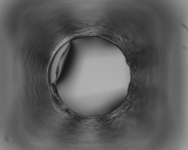 X0000097810100200804041345