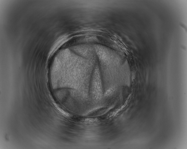 X0000097810101200804041345