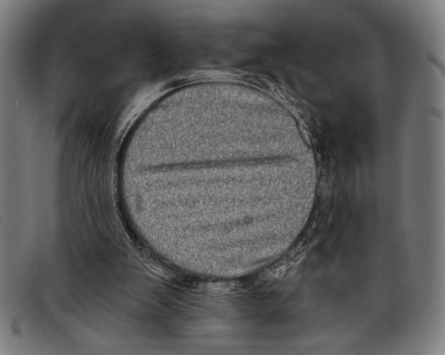 X0000097810103200804041345