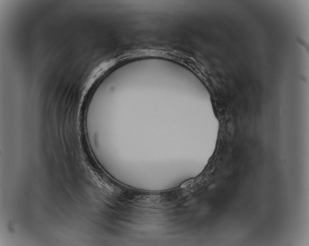 X0000097810104200804041345