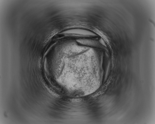 X0000097810105200804041345