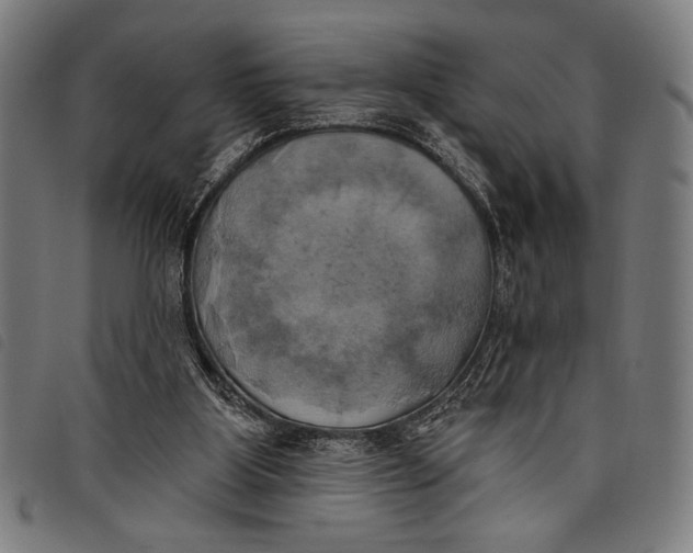 X0000097810107200804041345