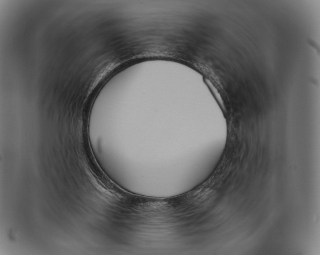 X0000097810108200804041345