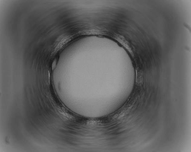 X0000097810109200804041345