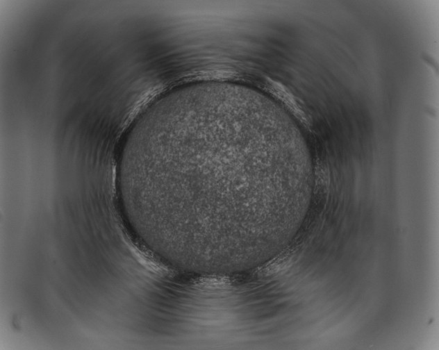 X0000097810110200804041345