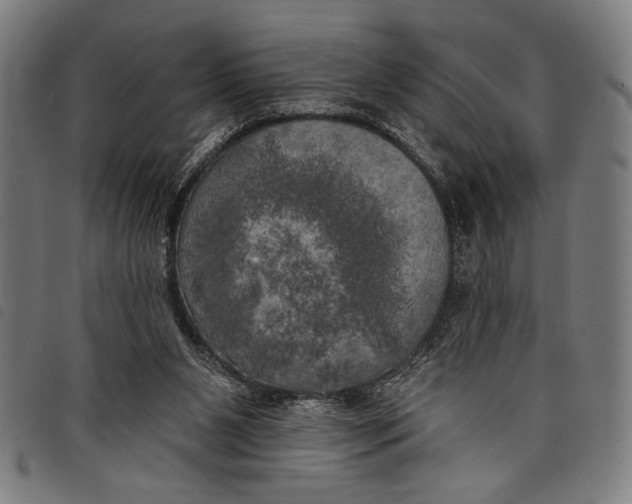 X0000097810111200804041345