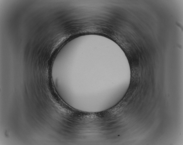 X0000097810112200804041345