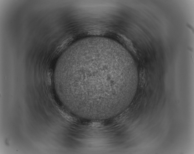 X0000097810114200804041345