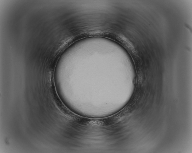 X0000097810115200804041345