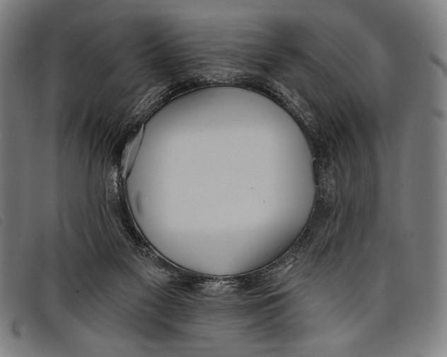 X0000097810117200804041345