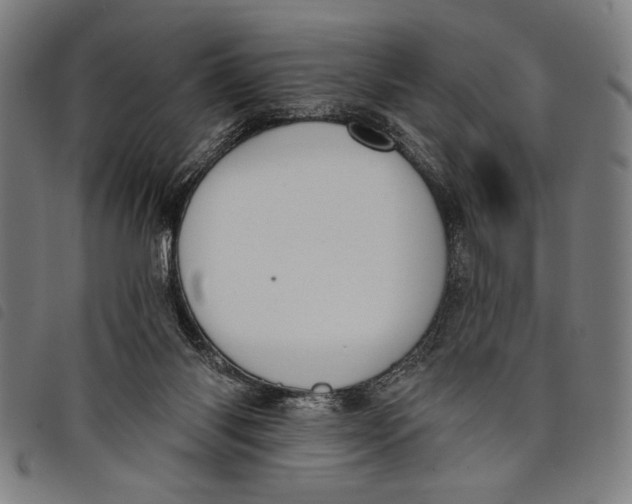 X0000097810118200804041345