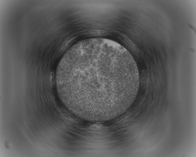 X0000097810119200804041345