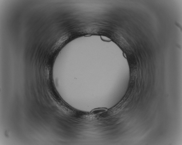 X0000097810120200804041345