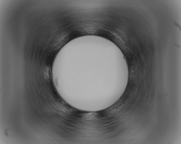 X0000097810122200804041345