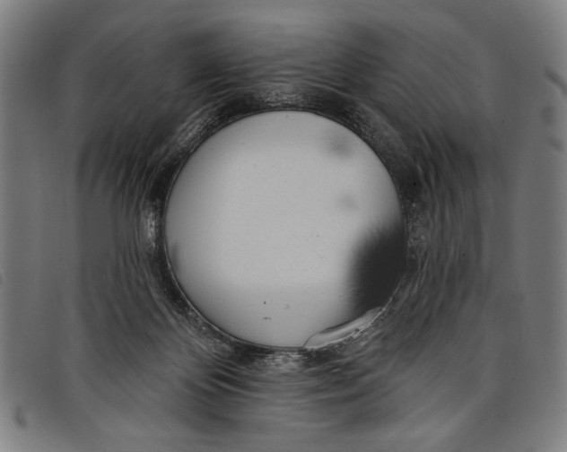 X0000097810124200804041345