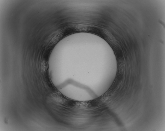 X0000097810125200804041345