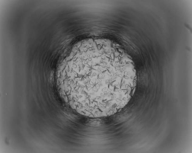 X0000097810127200804041345